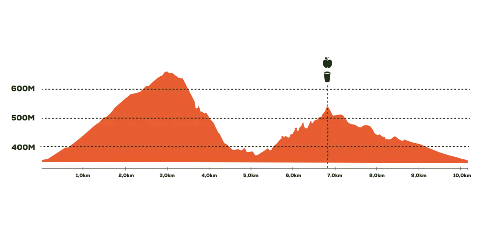 Altimetría de la ruta 10K