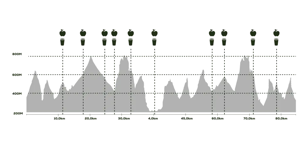 Altimetría de la ruta 80K