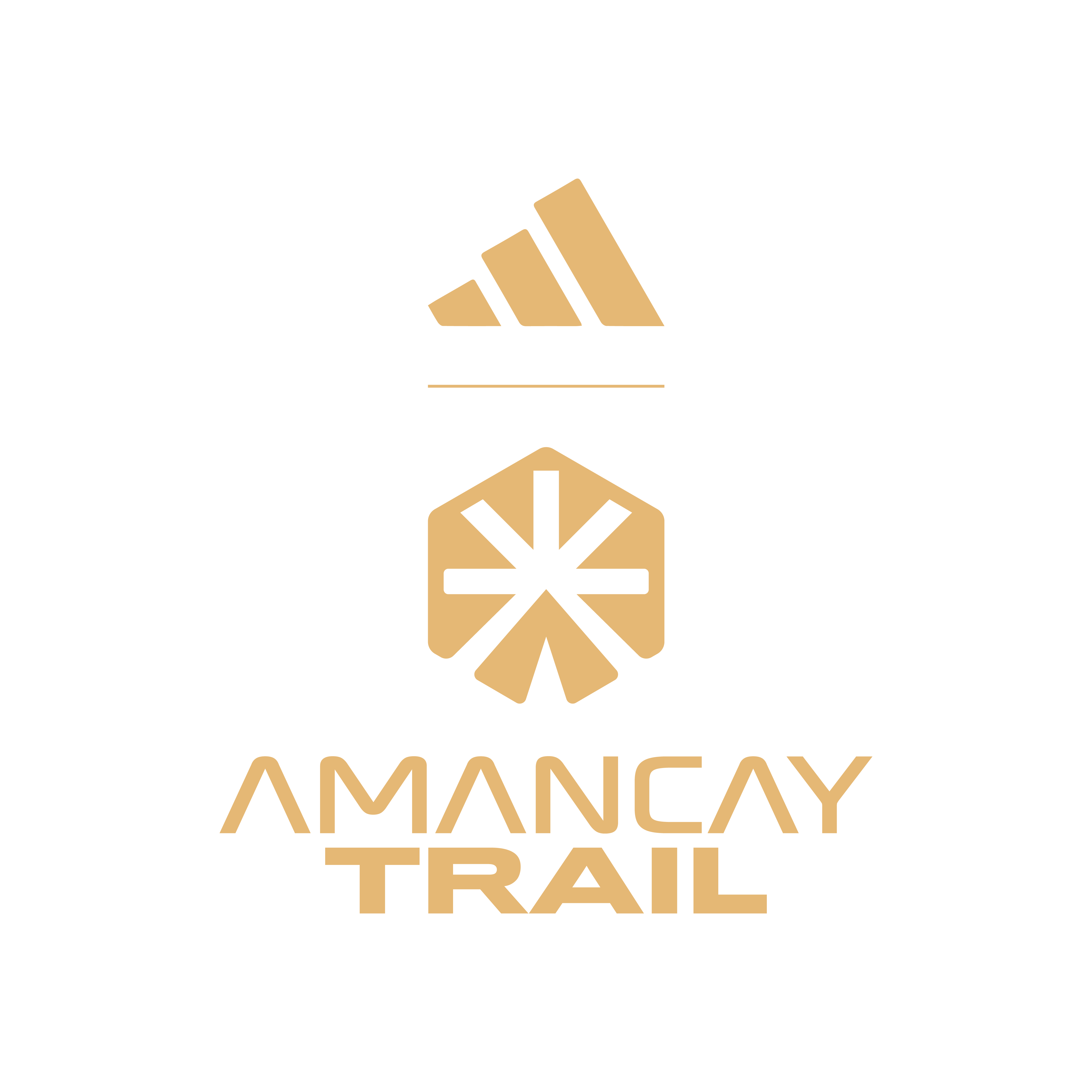 Logo de AMANCAY TRAIL 2027